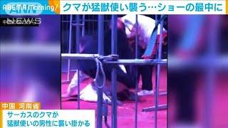 クマが馬乗りで・・・ショーの最中に猛獣使い襲う　中国(2020年10月6日)