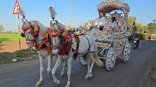 Horse baggi | horse cart | घोडा बग्गी | घोडागाडी | #horse | pashu premi