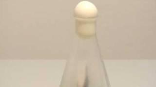 Egg in a bottle - physics experiment