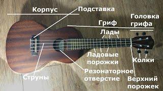 Cтроение ГИТАРЫ, УКУЛЕЛЕ ///