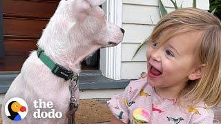 2-Year-Old Girl Convinces Her Mom To Adopt A Deaf Puppy | The Dodo Adoption Day