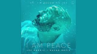 Lee Harris & Davor Bozic - Becoming Joy (Official Audio)