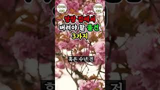 당장 집에서 버려야 할 물건 3가지 #운이좋아지는방법 #좋은글모음