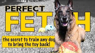 Train ANY Dog to Play Fetch Perfectly - Dog Training Video by Robert Cabral