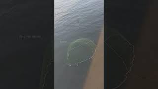 sea fishing  net casting #fishing #seafishing #fisherman #shorts #fishingmalayalam #fish #casting