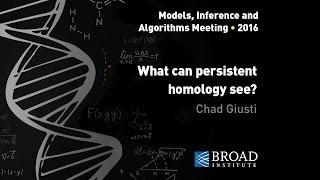 MIA: Chad Giusti, What can persistent homology see?; Ann Sizemore, Topological data analysis