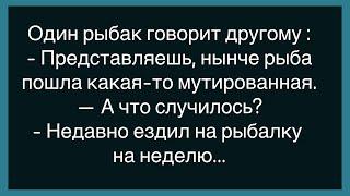 Как Дед Спрашивал У Врача Про Склероз!Сборник Свежих Анекдотов!Юмор!Настроение!