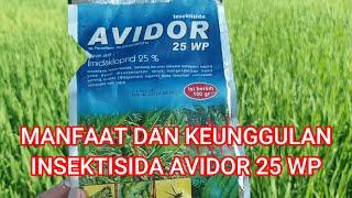 MANFAAT DAN KEUNGGULAN INSEKTISIDA AVIDOR 25 WP