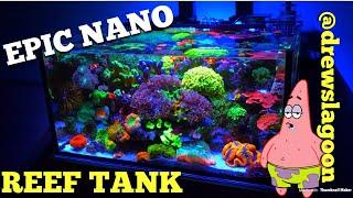 Epic Nano Reef Tank (@drewslagoon)