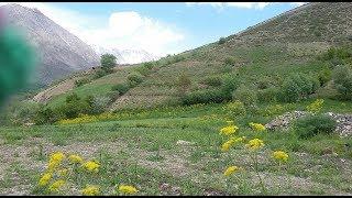 "wafo Sabaqo gane masari"  | Hazrat uddin wafa || #chitralisong #khowarsong || chitral network