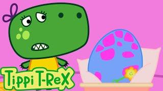 The Egg | Tippi T-Rex Official Episodes