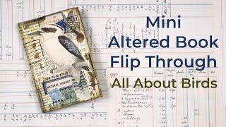 Mini Altered Book | Flip Through | All About Birds