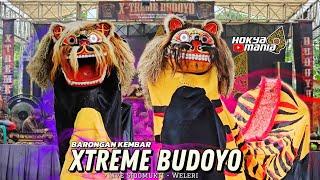 Barongan XTREME BUDOYO ● Live Sidomukti - Weleri