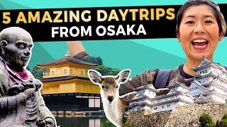5 UNFORGETTABLE Day Trips from OSAKA | Japan Travel Guide