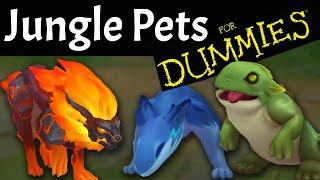 Jungle Pets Explained FOR DUMMIES!