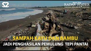 Sampah Kayu dan Bambu Jadi Penghasilan Pemulung  Tepi Pantai - RADARJEMBER.ID