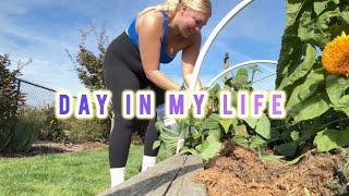 Day in my life - gym, house tour, pumpkins