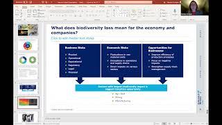 Carbon Markets and Biodiversity Credits