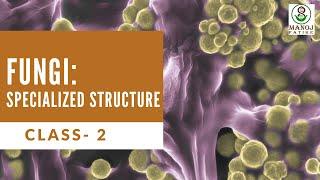 Fungi - Specialised Structures / Fungal Cell Structure | Fungi - 2 | Plant Pathology - 16 | JRF