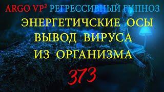 Энергетические осы | Вывод вируса из организма | ARGO VP2 регрессивный гипноз