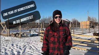 One Year Of Homesteading In 20 Minutes!