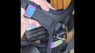 Säker Ascension Dog Harness review and gripes