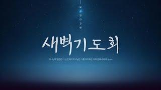 [당진감리교회] 새벽기도회 2024-11-26｜요한계시록 4:1-4 정태민 담임목사