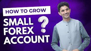 How to grow small account? 100$ TO 1000$ plan review in Urdu and Hindi by Tani Forex.