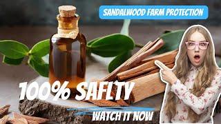 Sandalwood farm protection