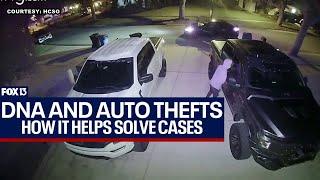 DNA evidence helping to solve auto theft cases