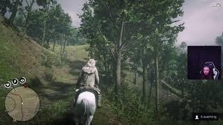 Red Dead Redemption 2 Road To Platinum Playthrough