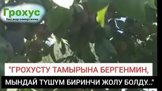ГРОХУС ОРГАНИКАЛЫК ЖЕР СЕМИРТКИЧИН КОЛДОНУҢУЗ