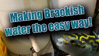 How to make brackish water the easy way!