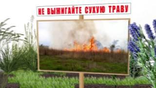 Берегите лес от пожара!