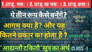 लघु.(हल् संधि)class 5आगम क्या है ? कितने प्रकार का होता हैं? और प्राड्.षष्ठ: से तीन रूप कैसे बनेगे ?