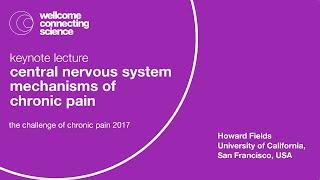 Central nervous system mechanisms of chronic pain - Howard Fields