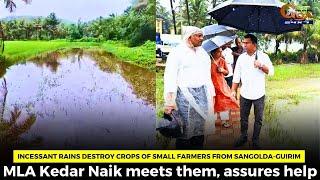 Incessant rains destroy crops of small farmers from Sangolda-Guirim.