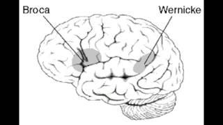 Stardusk  Determinism, Utilitarianism, and Free Will