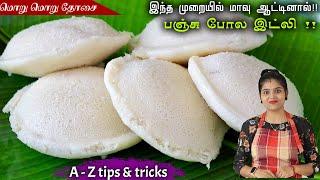 ரேஷன் அரிசியில் பஞ்சு போல இட்லி, தோசை மாவு | Ration Rice Idli Dosa Batter | Sponge Idli Batter Tips