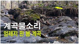 계곡물소리 8시간 연속 - 백색소음 자연의소리