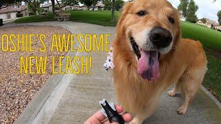 Gear Fur The Greatest Leash Ever? | Oshies World