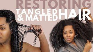 Steps to Detangling Matted, Neglected Hair | Natural Hair