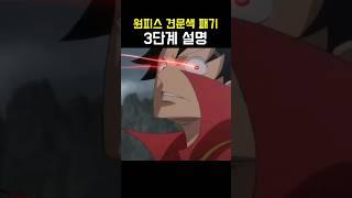 원피스 견문색 패기 3단계 설명