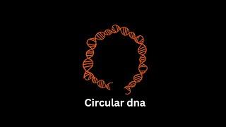 Round Shaped DNA #diseases #biology #zoology