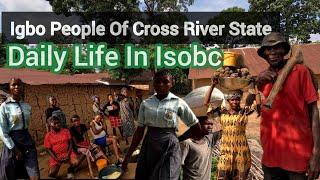 African Village Daily Life In Nigeria || Isobo - Igbo Village In Cross River State