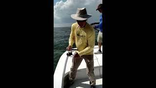 Capt. Jack's Guide Service. AWESOME TRIPLE TAIL FISHING!