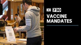 COVID-19 vaccine mandates are a legal and ethical problem for businesses | 7.30