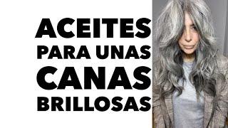 Aceites para brillar las canas | Elisa Berrini Gómez