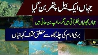 Bari Imam Chilla Gah | Mysterious Beliefs About Place in Haripur