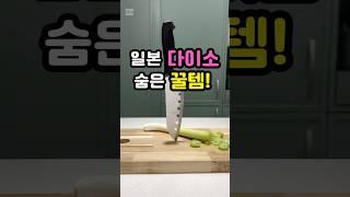 아무도 안알려주는 일본 다이소 숨은 꿀템
